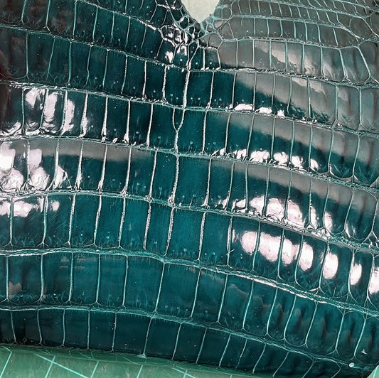 Glazed "Ocean" Croc Tail